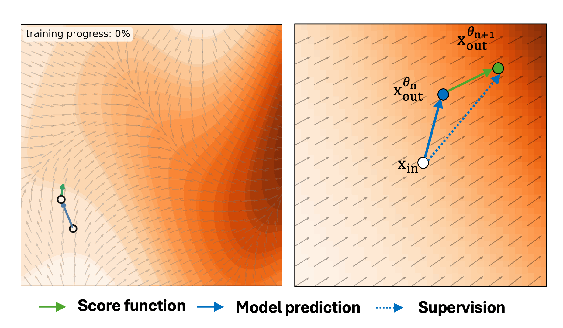 Self-E training animation